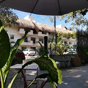 Mandarinas , Playa del Carmen México
